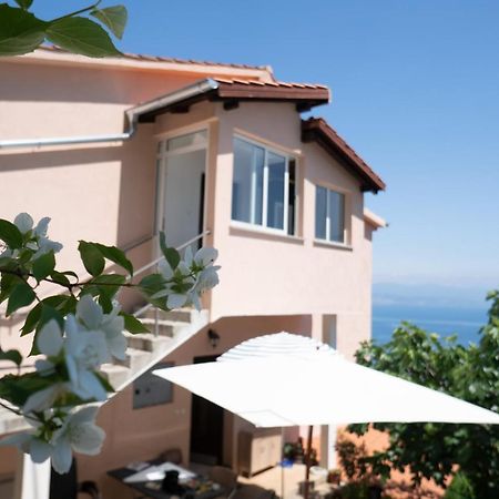 Cvita - Cozy Apartment With An Amazing View 洛夫兰 外观 照片